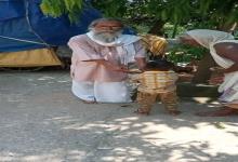 Food distribution